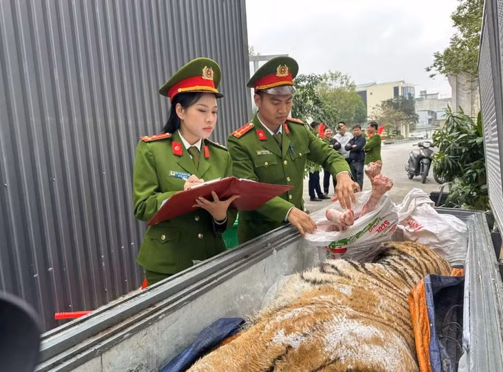 Triệt phá đường dây mua bán, nấu cao hổ. Ảnh: Công an Thanh Hóa