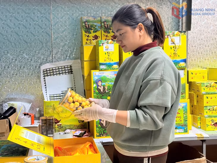 Sản phẩm OCOP Trà hoa vàng Ba Chẽ của HTX Dược liệu trà hoa vàng Ba Chẽ được chú trọng về bao bì, mẫu mã nhằm đáp ứng nhu cầu quà biếu, quà tặng của người tiêu dùng.
