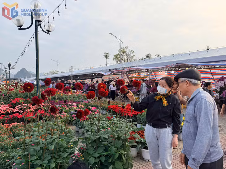 Chợ hoa Xuân phường Hồng Gai thu hút người dân đến tham quan, mua sắm.