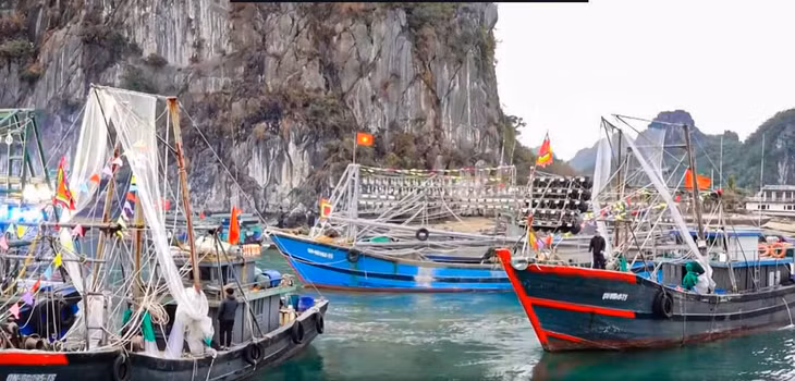 Những con tàu cá treo cờ Tổ quốc sẵn sàng xuất bến, mang theo niềm tin và khát vọng về một mùa biển bội thu, góp phần khẳng định chủ quyền biển đảo thiêng liêng của Tổ quốc.