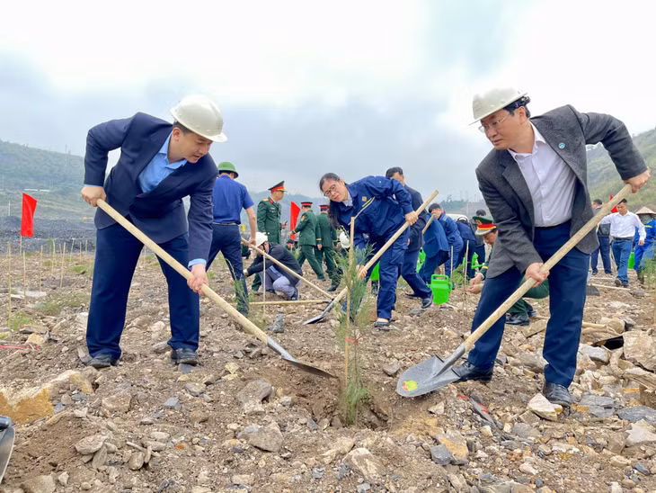 Cán bộ, đảng viên, đoàn viên, hội viên, các cơ quan, đơn vị, doanh nghiệp và nhân dân phường Mông Dương trồng trên 6.500 cây phi lao tại khai trường mức +110 thuộc Công ty Than Dương Huy - TKV.