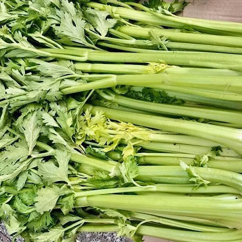 Rau cần tây tốt cho người thận yếu. Ảnh: Lâm Anh.