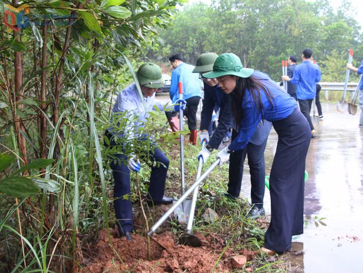 Ra quân tết trồng cây 