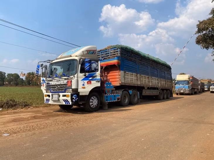 Xe hàng hóa ở cửa khẩu Tây Ninh