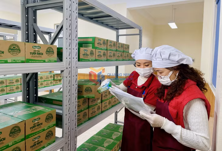 Nhân viên y tế Trường Mầm non Hồng Gai kiểm tra lô sản xuất, hạn sử dụng của sữa trước khi bàn giao cho các lớp.