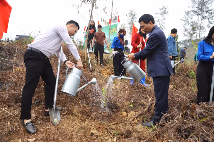 Các đại biểu tham gia trồng cây.