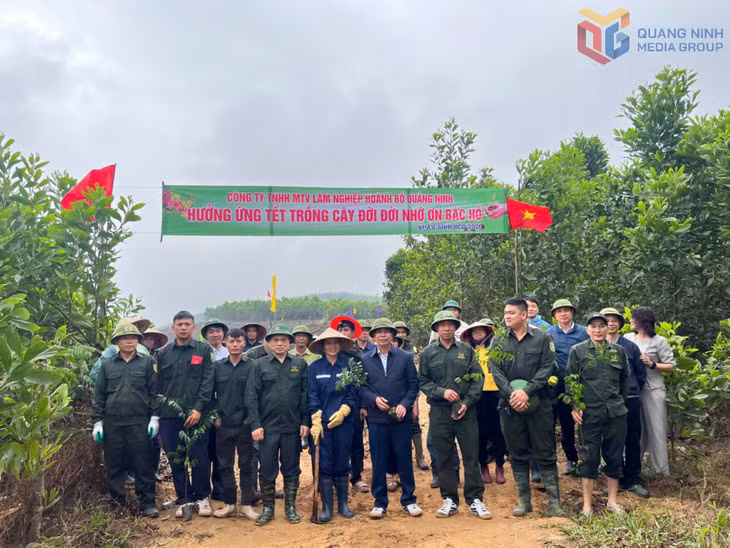 Công ty TMHH MTV Lâm nghiệp Hoành Bồ hưởng ứng Tết trồng cây đời đời nhớ ơn Bác Hồ.