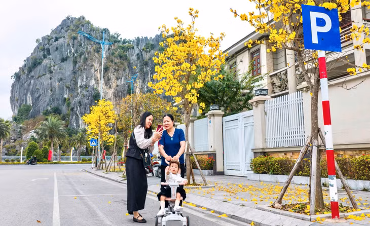 Không gian yên bình buổi chiều tà, nơi người dân thong dong dạo bộ và tận hưởng bầu không khí trong lành dưới tán hoa vàng.