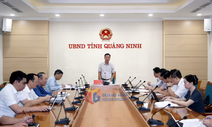Đồng chí Lê Văn Ánh, Phó Chủ tịch UBND tỉnh, phát biểu tại cuộc họp.