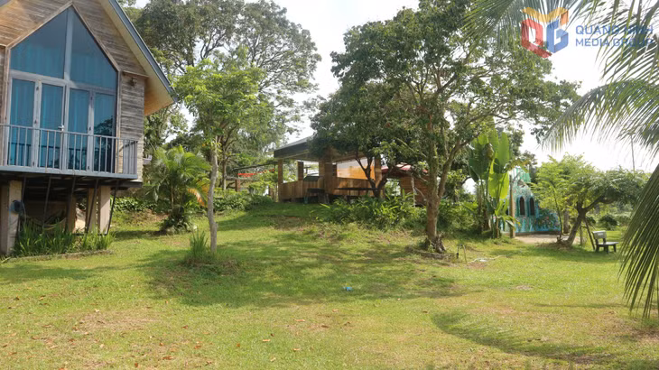 Không gian xanh mát tại Khe Mai Farm.