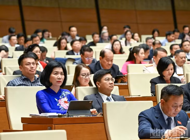 Các đại biểu dự phiên họp. (Ảnh: DUY LINH)