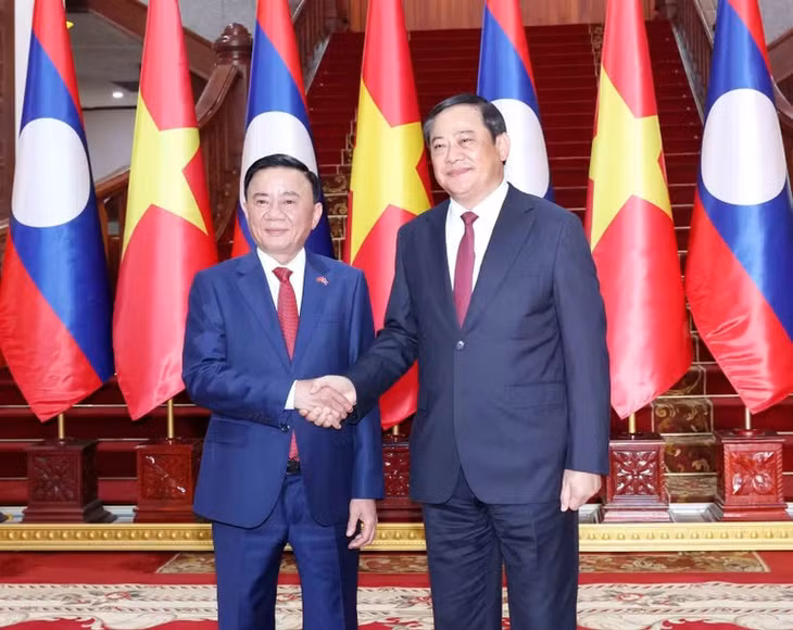 Thường trực Ban Bí thư Trần Cẩm Tú hội kiến Thủ tướng Lào Sonexay Siphandone. (Ảnh: TTXVN)