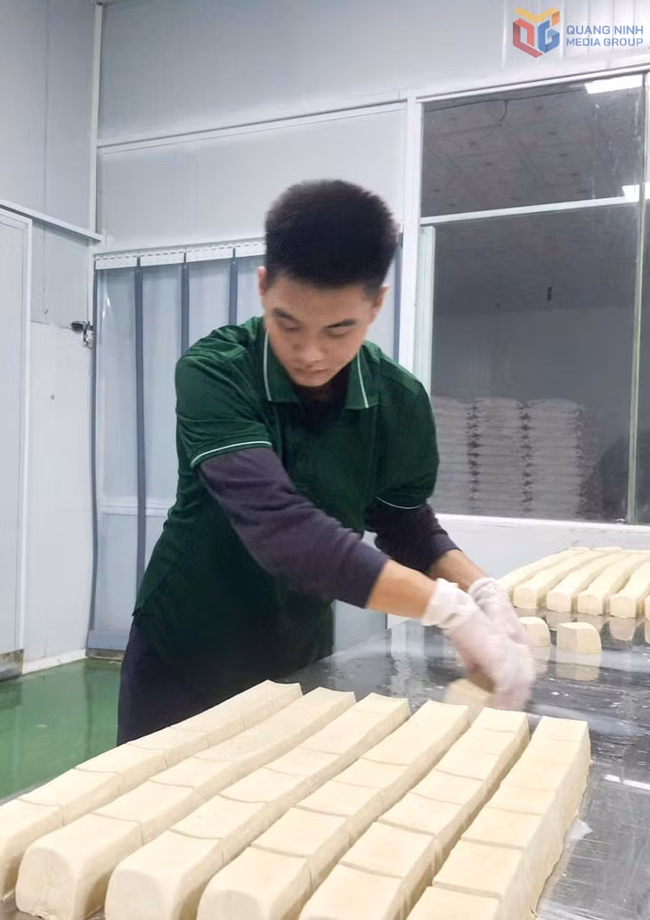 Sản xuất đậu phụ ở Công ty TNHH Sản xuất, thương mại thực phẩm Tân An. Ảnh CTV