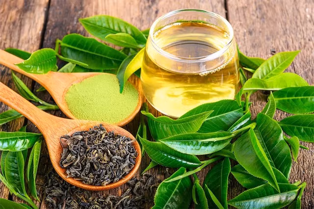 Uống trà xanh thường xuyên có thể giúp làn da chống chọi tốt hơn với tác động của tia cực tím.