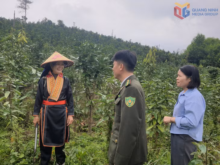 Vùng canh tác cây chè theo hướng VietGAP của xã Quảng Đức.