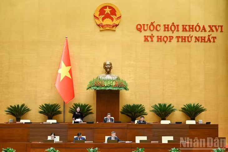 Phó Chủ tịch Quốc hội Nguyễn Thị Hồng điều hành phiên họp. (Ảnh: DUY LINH)