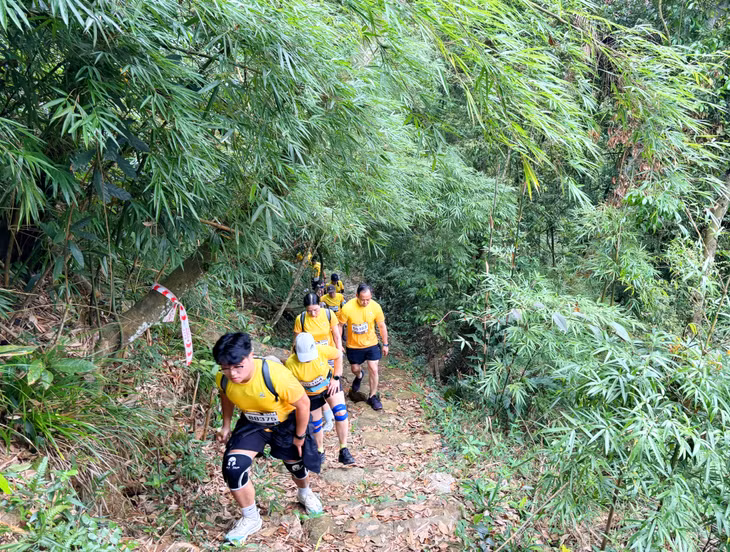 Hành trình chinh phục đỉnh non thiêng qua cảnh đẹp xanh mướt của rừng trúc. Các VĐV vừa có trải nghiệm gần với Di sản vừa có những bức ảnh đẹp.