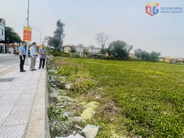 Chính quyền địa phương kiểm tra hiện trạng tại khu vực ao do Công ty CP Thuỷ sản 2 quản lý tại khu phố 10, phường Quảng Yên.