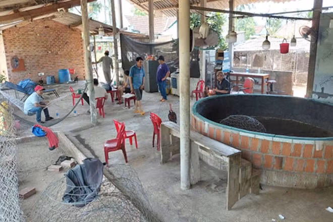 Địa điểm các đối tượng thường xuyên tổ chức đá gà tại xã Hoài Ân, Gia Lai. Ảnh: Công an