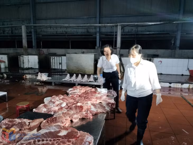 Chi cục Chăn nuôi và Thú y kiểm tra hoạt động giết mổ tại Cơ sở giết mổ Vang Thanh Dương (phường Uông Bí).