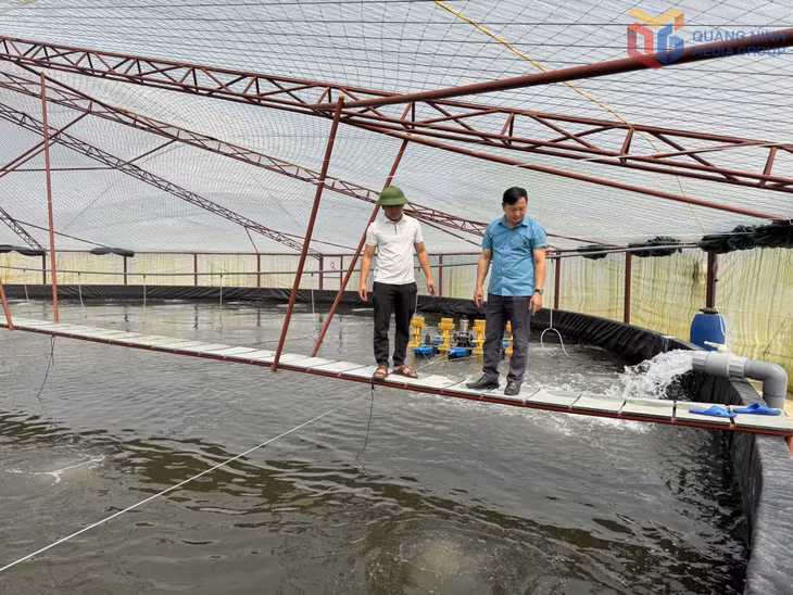 Hộ anh Phùng Văn Đảo (bên trái) thôn Bình Minh, xã Hải Lạng, nuôi tôm thâm canh công nghệ cao, quy mô lớn cho hiệu quả kinh tế cao và ổn định.