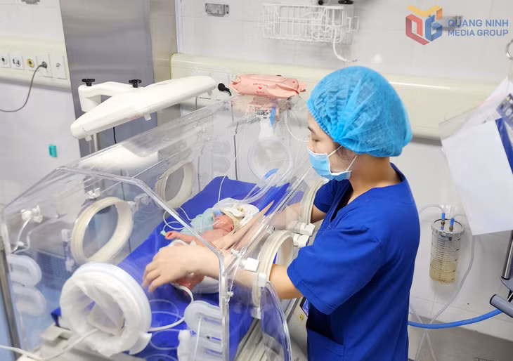 Kỹ thuật trưởng thành phổi bằng surfactan ít xâm lấn (LISA) được triển khai tại Bệnh viện Sản Nhi Quảng Ninh, góp phần nâng cao hiệu quả điều trị cho trẻ sơ sinh mắc bệnh lý màng trong.