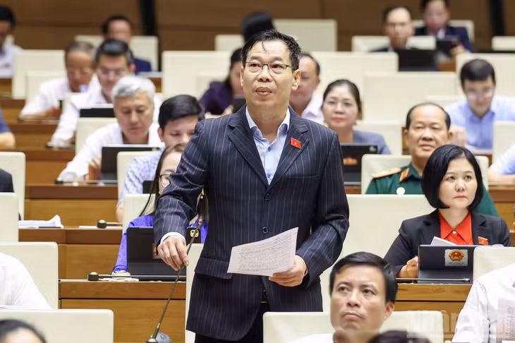 Đại biểu Đỗ Đức Hồng Hà (Đoàn thành phố Hà Nội). (Ảnh: DUY LINH)