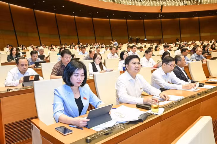 Các đại biểu dự phiên họp. (Ảnh: DUY LINH)
