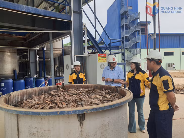 Công ty TNHH MTV Quế Ba Chẽ lắp đặt hệ thống thiết bị để sản xuất, trưng cất tinh dầu quế.