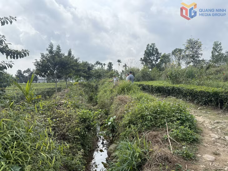 Tuyến mương đất tại thôn 2, xã Quảng Đức bị cỏ dại, bồi lấp, gây khó khăn cho việc dẫn nước phục vụ sản xuất nông nghiệp của người dân.