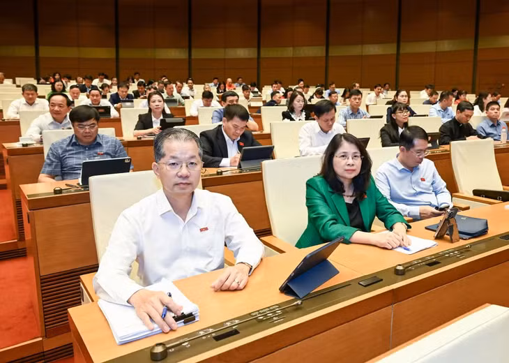 Các đại biểu dự phiên họp. (Ảnh: DUY LINH)