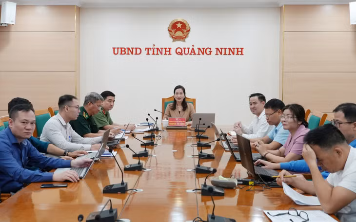 Đồng chí Nguyễn Thị Hạnh, Phó Chủ tịch UBND tỉnh, cùng các sở, ngành liên quan tham dự tại điểm cầu Quảng Ninh.