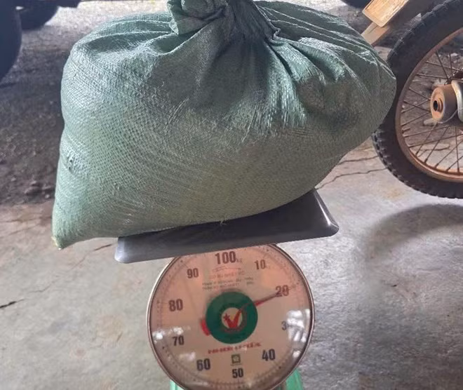 Cơ quan chức năng xử lý, thu giữ số cà phê đối tượng H.V.Q trộm cắp. Ảnh: Công an cung cấp