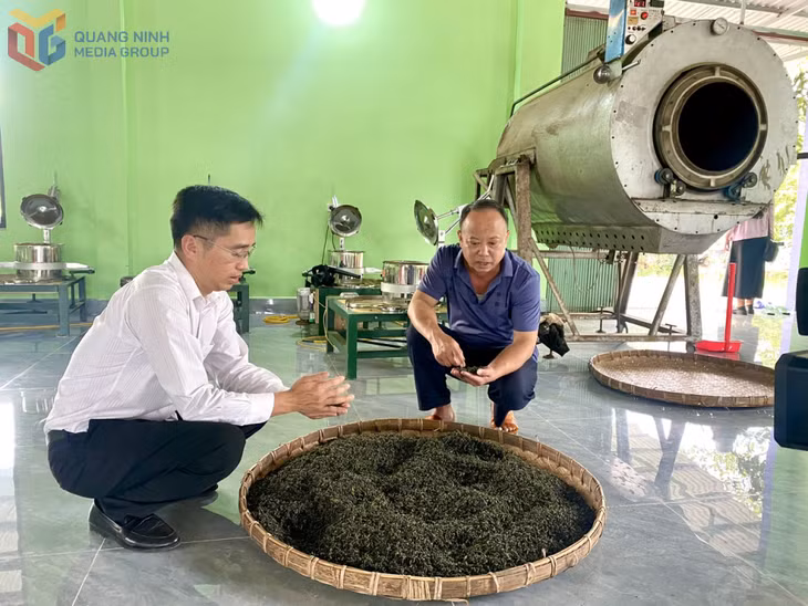 Cơ sở sản xuất chè trên địa bàn thôn Quảng Long 8 mạnh dạn đầu tư hàng tỷ đồng để nâng cao chất lượng sản phẩm.