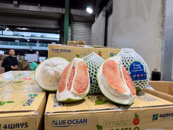 Bưởi Việt Nam chính thức được thông quan sang Australia. Ảnh: Cục Bảo vệ và Trồng trọt thực vật.