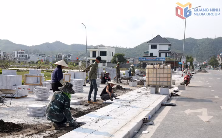 Liên danh nhà thầu thi công ốp lát vỉa hè thuộc dự án chỉnh trang KĐT Thống Nhất (đặc khu Vân Đồn). Ảnh: Mạnh Trường