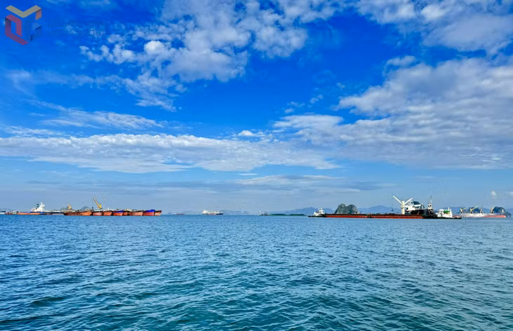 Khu vực cảng Con Ong - Hòn Nét (phường Cửa Ông). Ảnh: Mạnh Trường