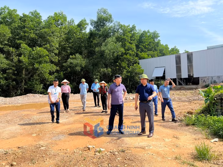 Đoàn kiểm tra của Ban Thường vụ Thành ủy Hạ Long kiểm tra vị trí san gạt trái phép tại khu 6, phường Hà Khẩu vào tháng 9/2023. Ảnh: Hoàng Nga