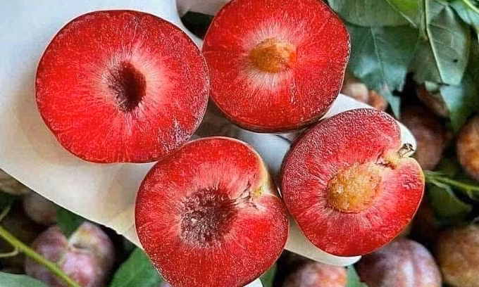 Mận hậu được rao bán trên chợ mạng. Ảnh: Hội buôn bán mận