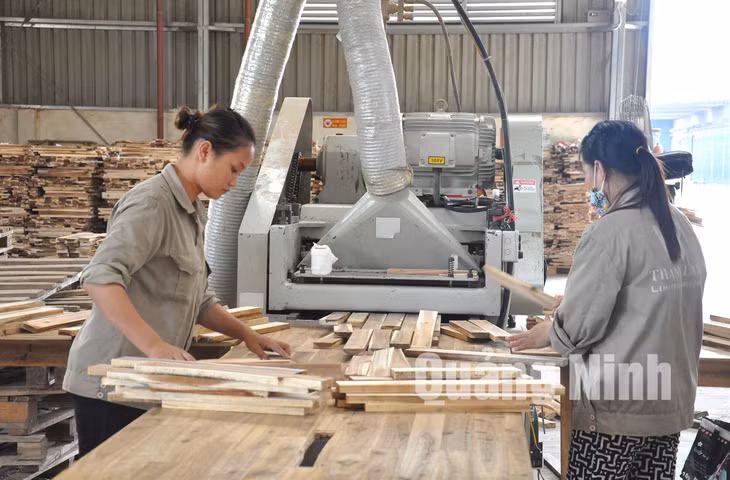 Chế biến gỗ thanh xuất khẩu. Ảnh: Thái Cảnh