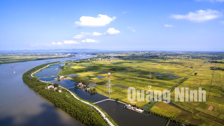 Đảo Hà Nam, TX Quảng Yên (6-2016). Ảnh: Đỗ Giang