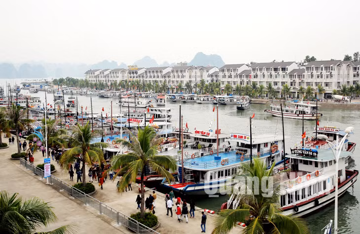 Cảng tàu khách quốc tế Tuần Châu có tổng mức đầu tư 10.000 tỷ đồng, có chiều dài tuyến bến gần 10km, năng lực tiếp nhận 2.000 tàu du lịch (1-2016). Ảnh: Đỗ Phương