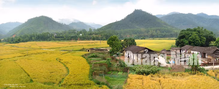 Cánh đồng yên tĩnh bản Đồng Long, xã Đồng Tâm. Ảnh: Đỗ Giang