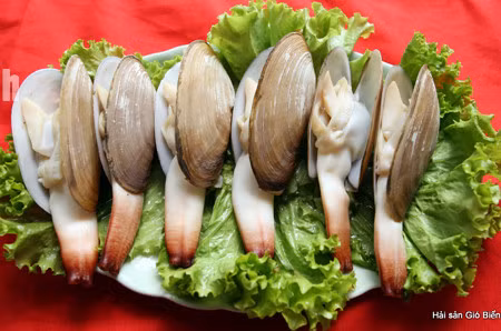 Tu hài Vân Đồn