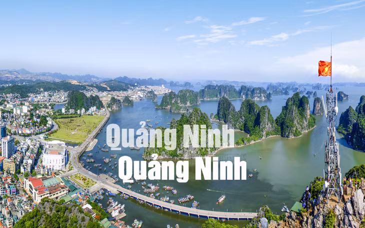 TP Hạ Long nhìn từ đỉnh núi Bài Thơ (6-2016). Ảnh: Đỗ Giang