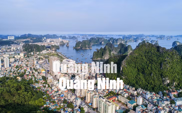 TP Hạ Long bên Vịnh Hạ Long (9-2019). Ảnh: Khánh Giang