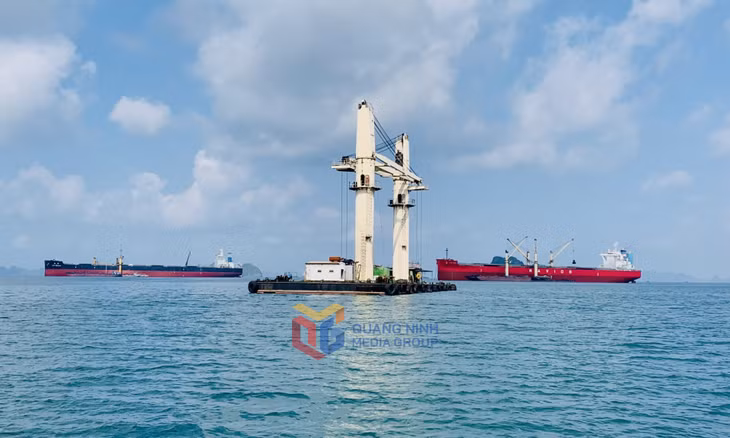 Hiện tổng công suất khai thác khu neo đậu chuyển tải tại khu vực Cảng Con Ong - Hòn Nét đạt khoảng 76,64 triệu tấn/năm.