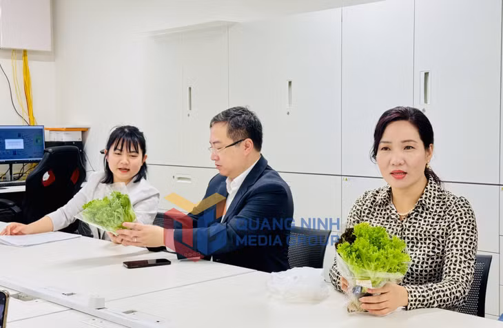 2024-08_Đoàn công tác tỉnh Quảng Ninh nghe giới thiệu về công nghệ trồng rau của Công ty Cổ phần AD ONE FARM. Ảnh: Lê Nam