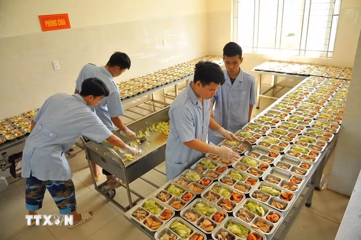 Lữ đoàn 167, Vùng 2 Hải quân đẩy mạnh tăng gia sản xuất, cải thiện đời sống bộ đội. (Ảnh: Minh Đức/TTXVN)