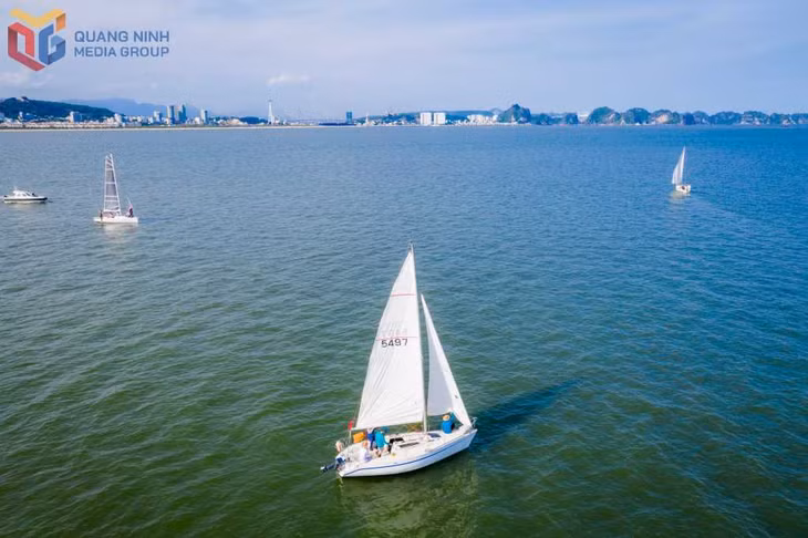 Năm 2023, Câu lạc bộ thuyền buồm tổ chức chương trình diễu hành với sự tham gia của 13 chiếc thuyền buồm trong và ngoài nước. Ảnh: Hoàng Quỳnh